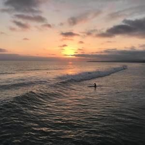 Meet your Posher, Carmen